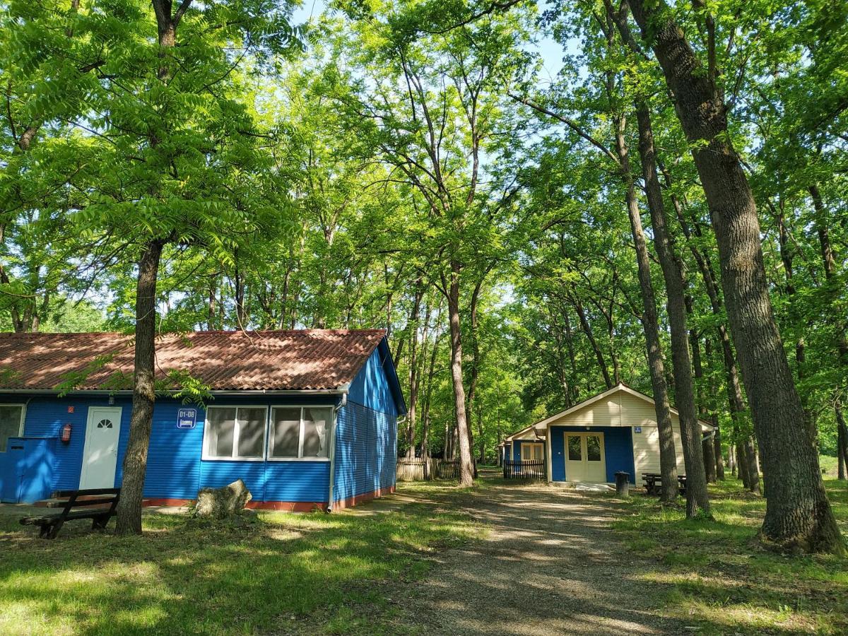 Dorcas Center&Camping Hotell Debrecen Eksteriør bilde